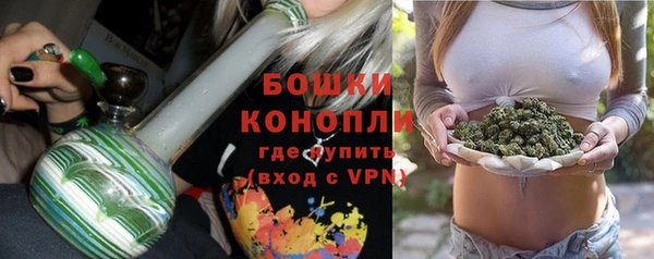 дживик Козельск