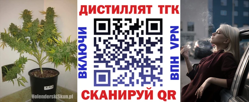 Купить где  Приволжск  ТГК THC oil 