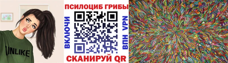 Купить где Приволжск Галлюциногенные грибы мицелий